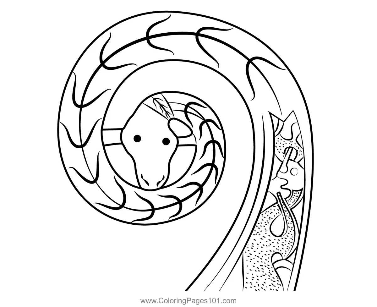 Snakes Coloring Pages 5
