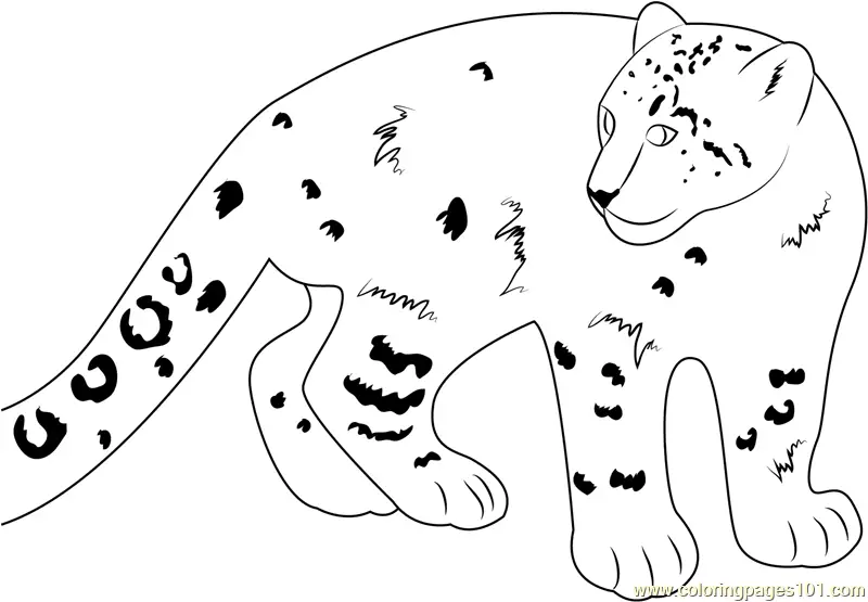 Snow Leopard Coloring Pages