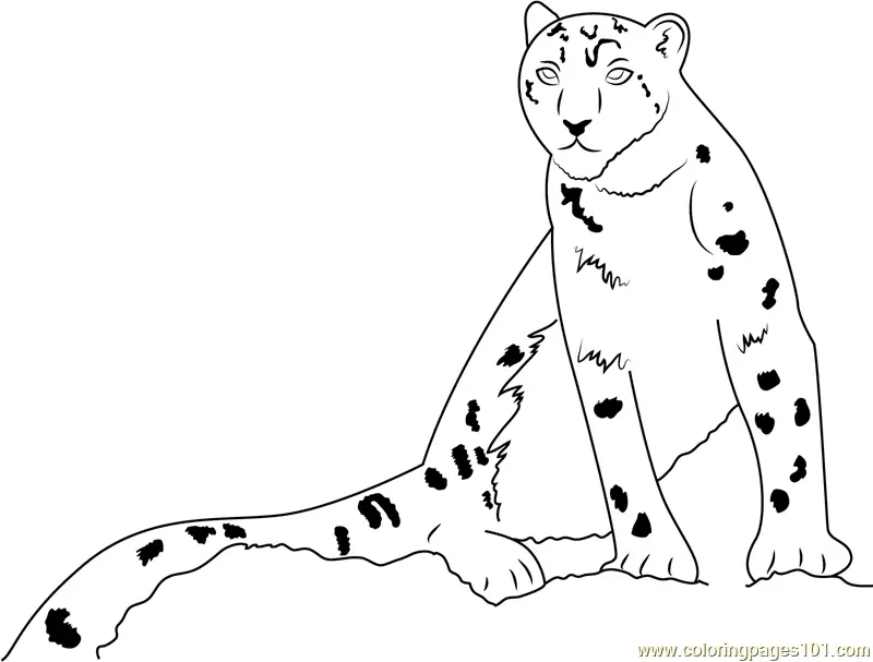 Snow Leopard Coloring Pages 2
