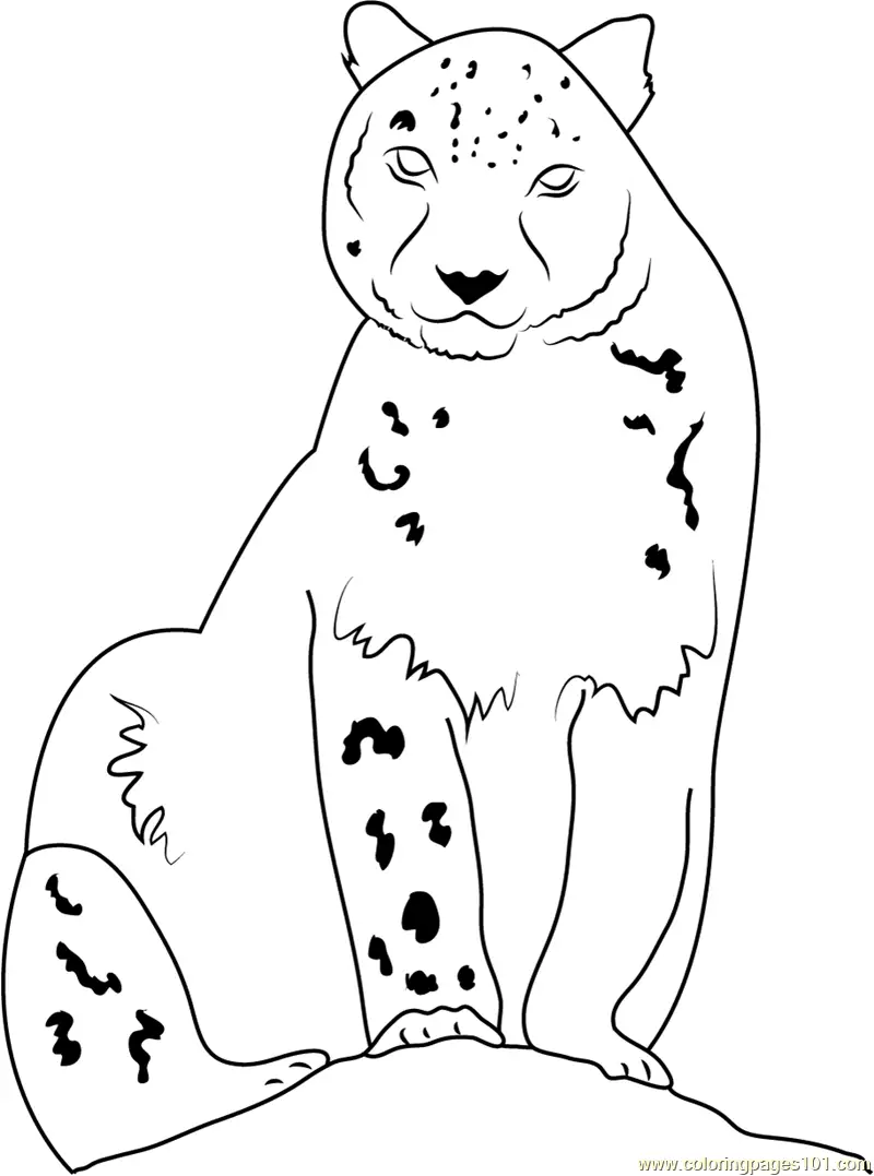 Snow Leopard Coloring Pages 8