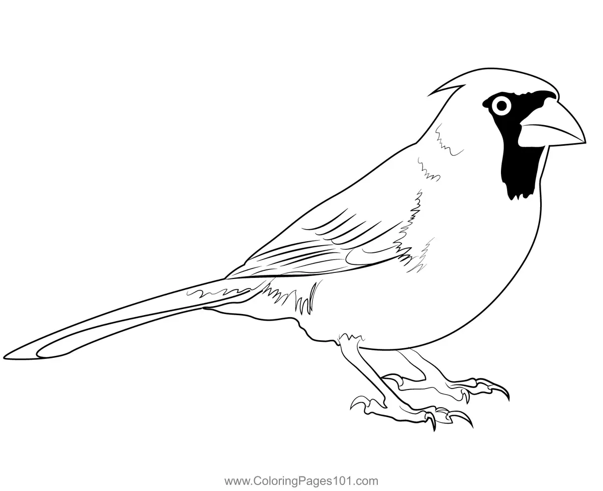 Sparrows Coloring Pages 10