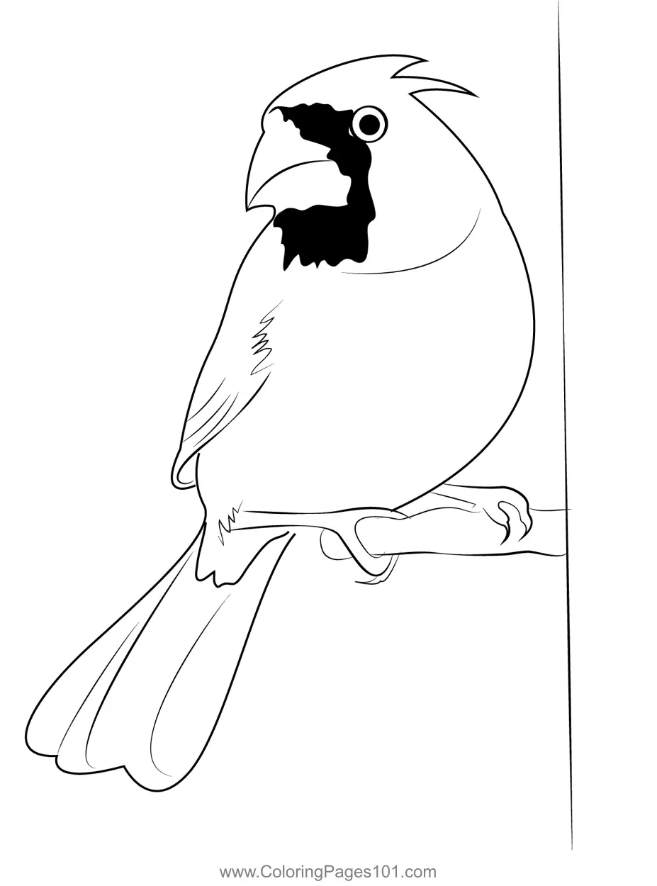 Sparrows Coloring Pages 11
