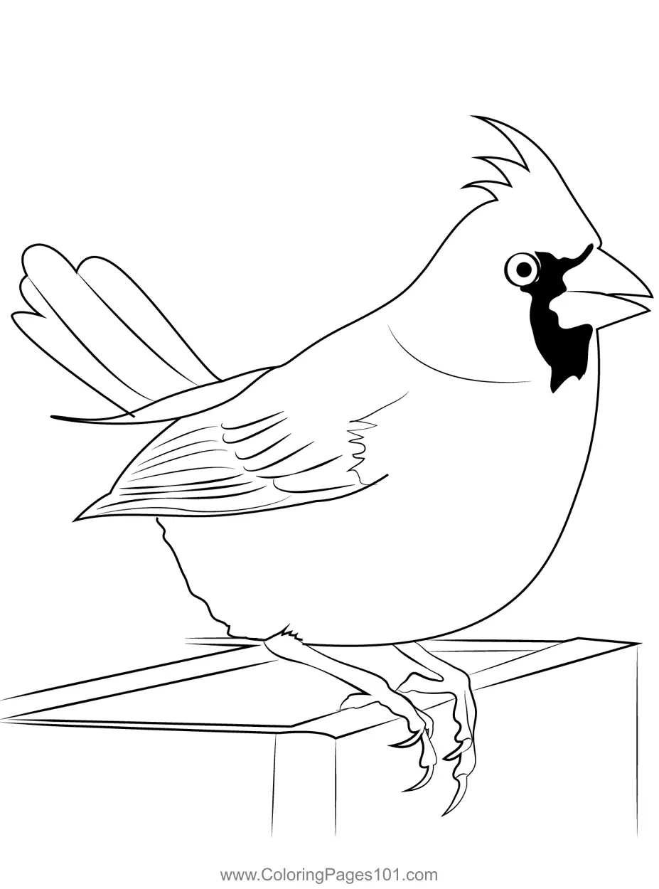 Sparrows Coloring Pages 4