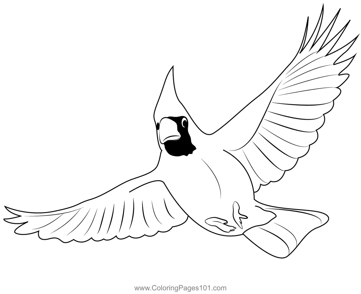 Sparrows Coloring Pages 6