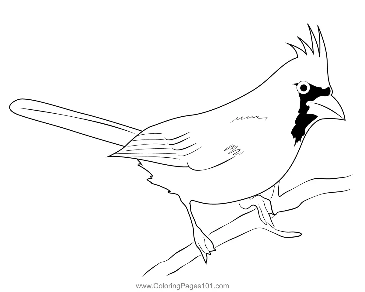 Sparrows Coloring Pages 9