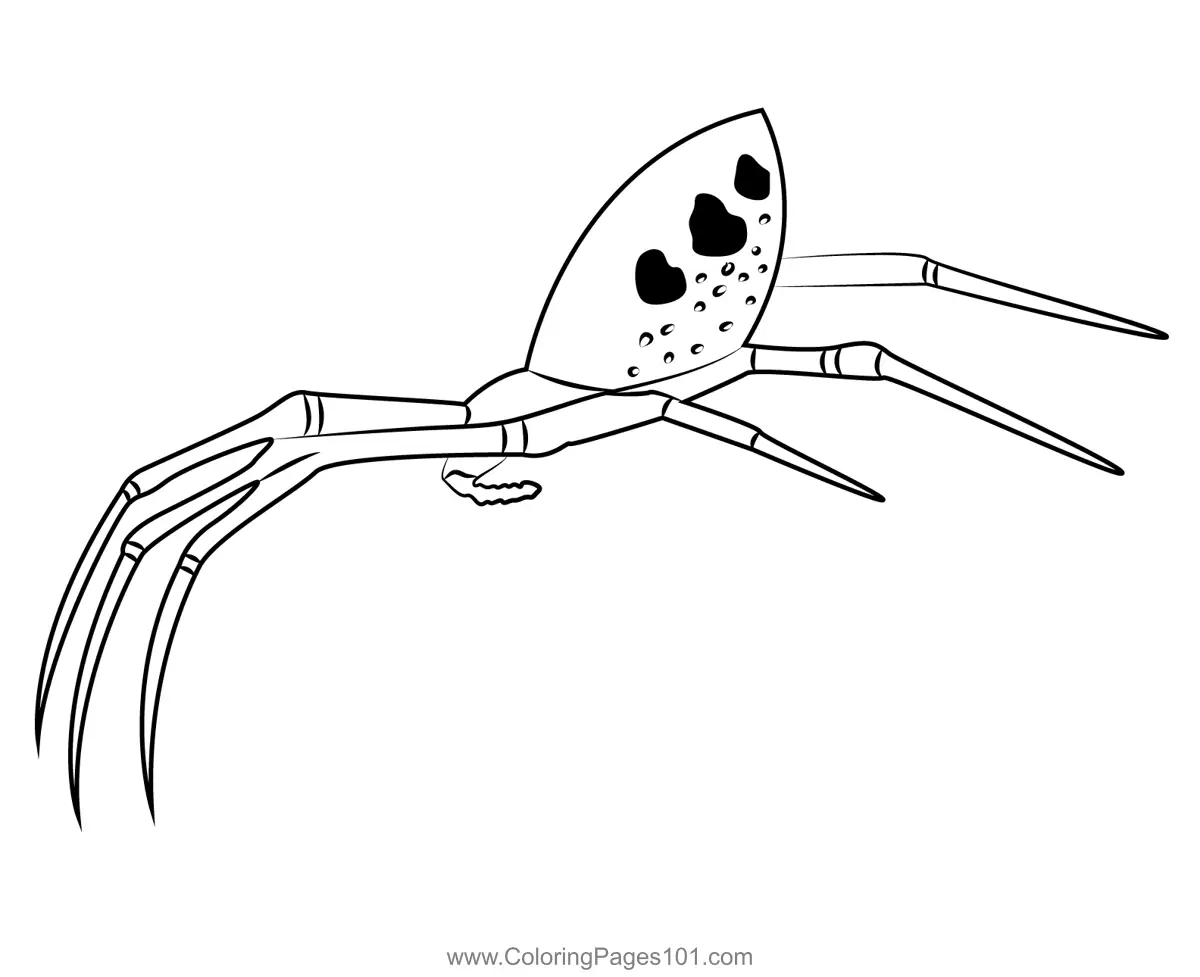 Spiders Coloring Pages 10
