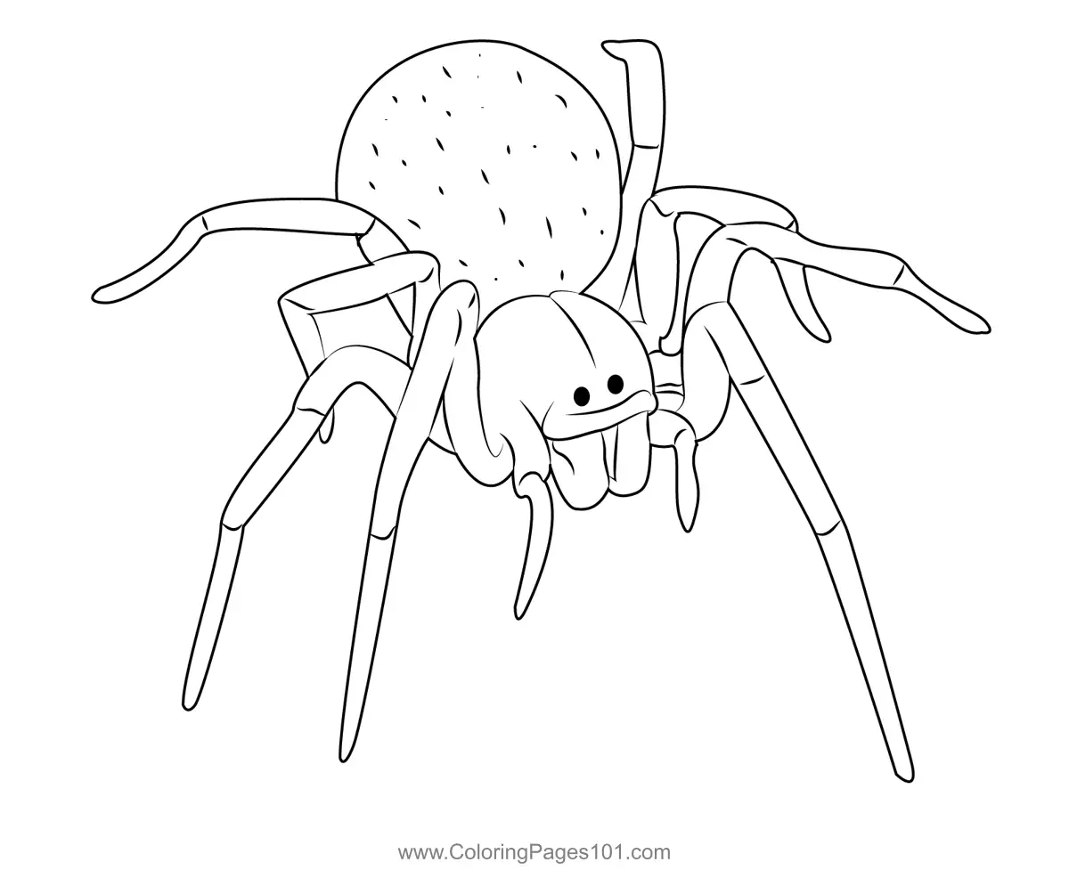 Spiders Coloring Pages 5