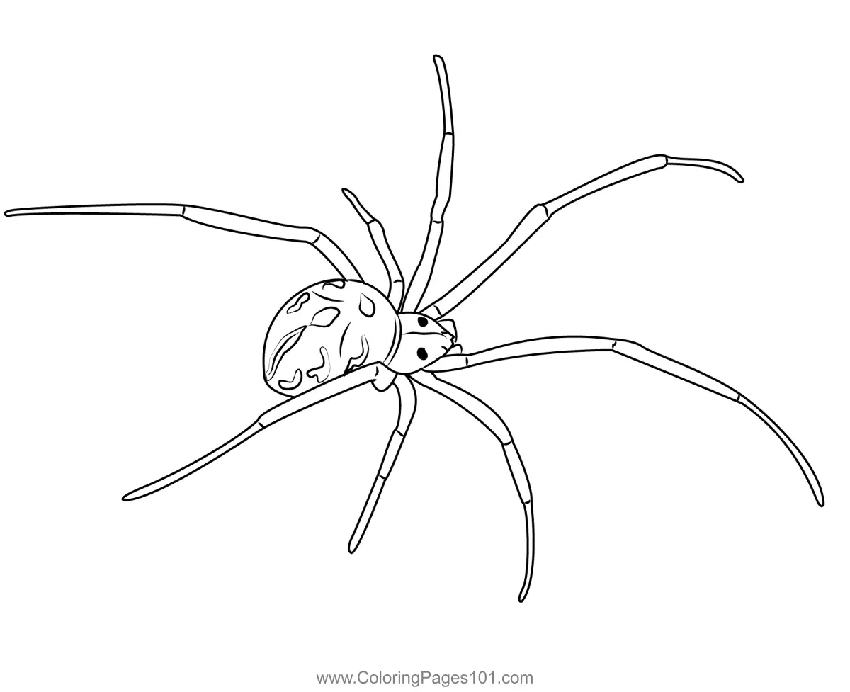 Spiders Coloring Pages 6