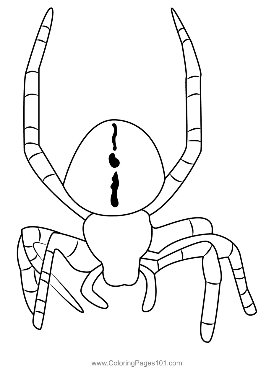 Spiders Coloring Pages 7
