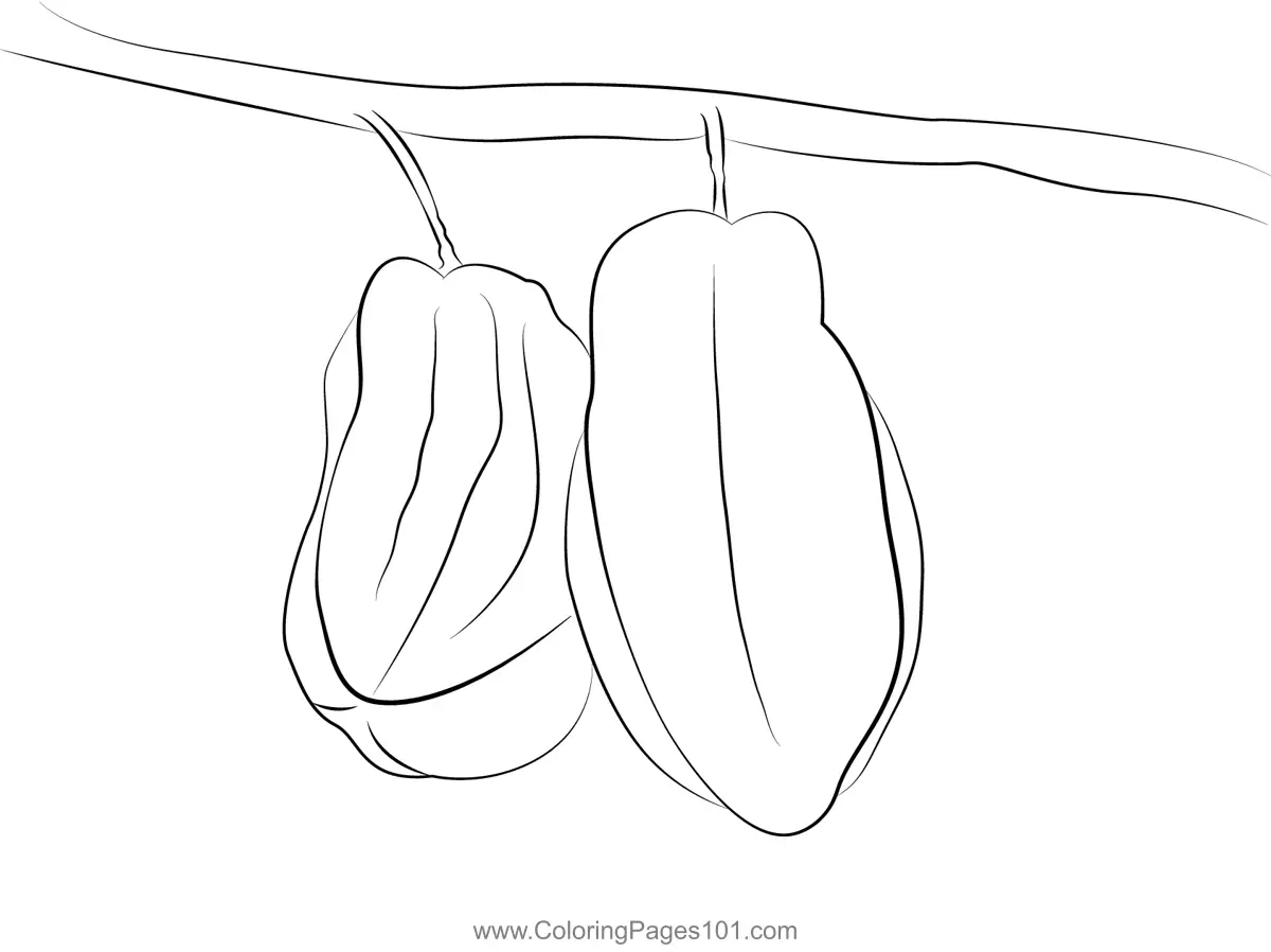 Star Fruit Coloring Pages 4