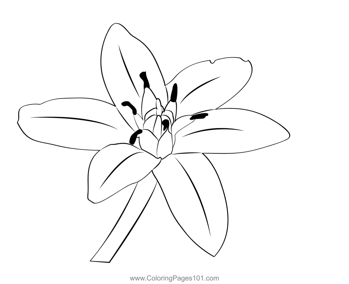 Sacred Belief Coloring Pages