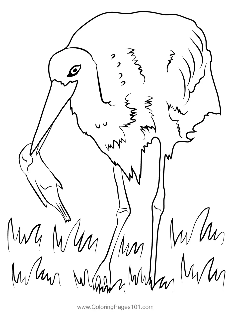 Storks Coloring Pages 1