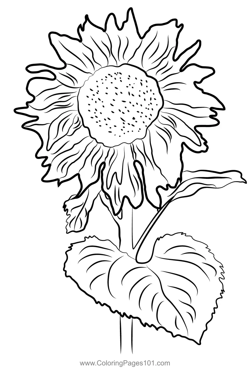 Sunflowers Coloring Pages 10