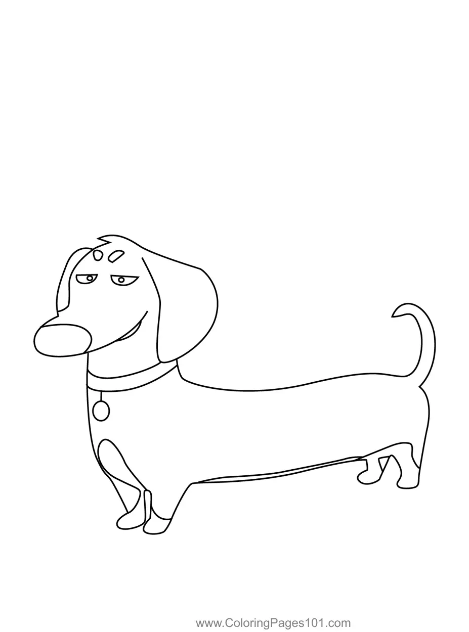 The Secret Life of Pets Coloring Pages 5
