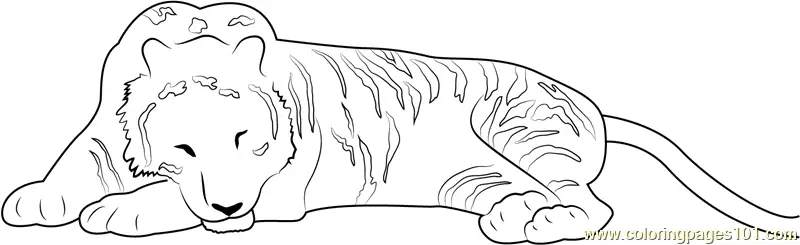 Tiger Coloring Pages 10