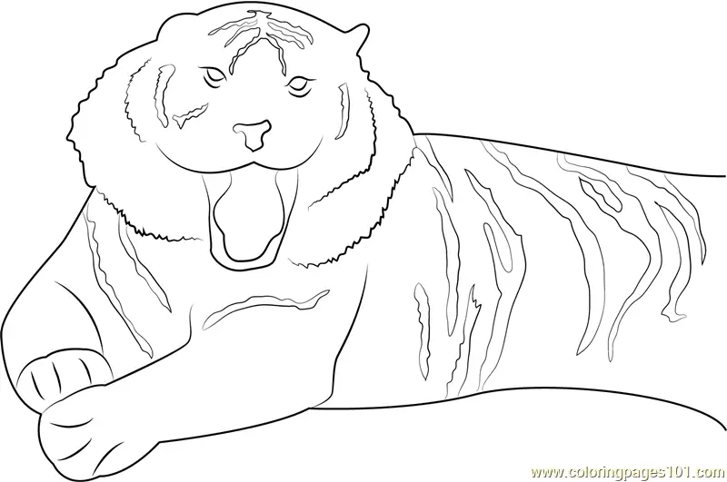Tiger Coloring Pages 2