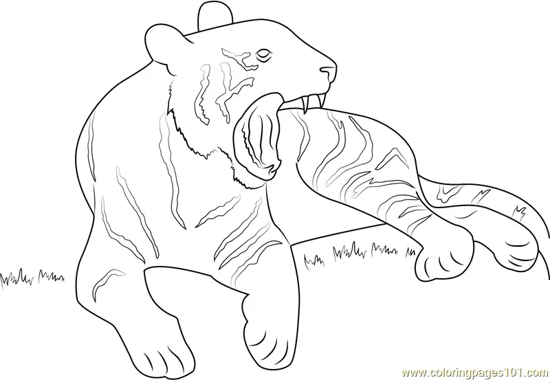 Tiger Coloring Pages 6