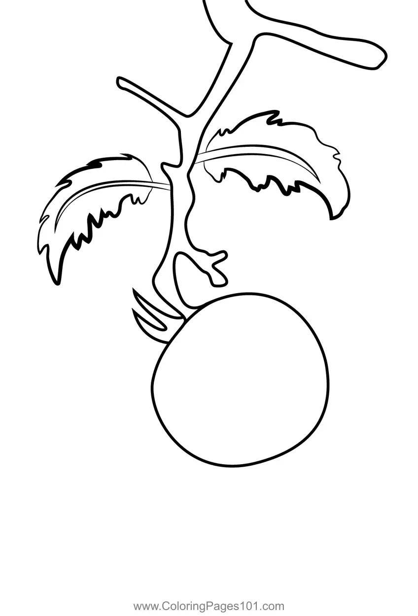 Tomatoes Coloring Pages 3
