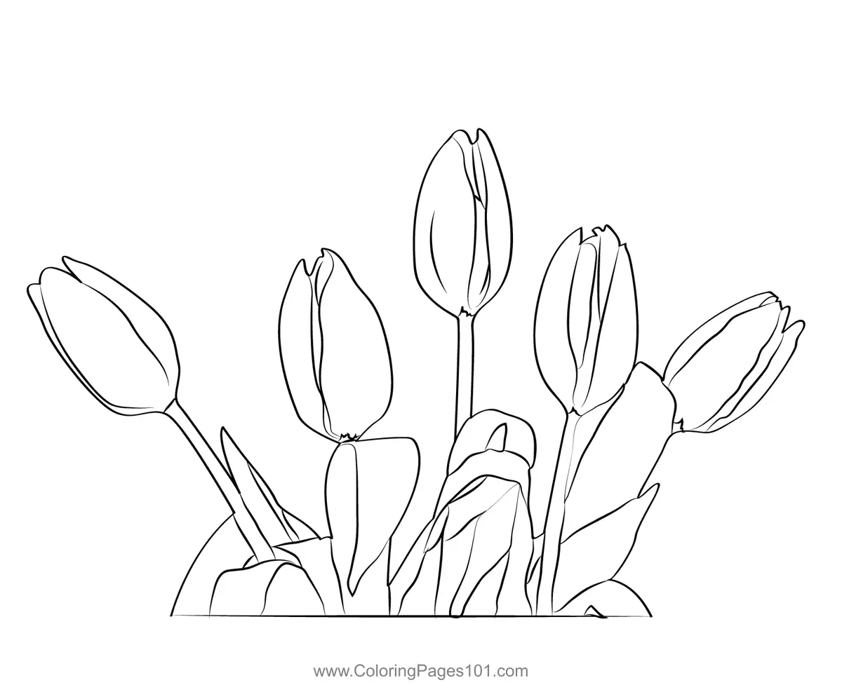 Tulips Coloring Pages 4