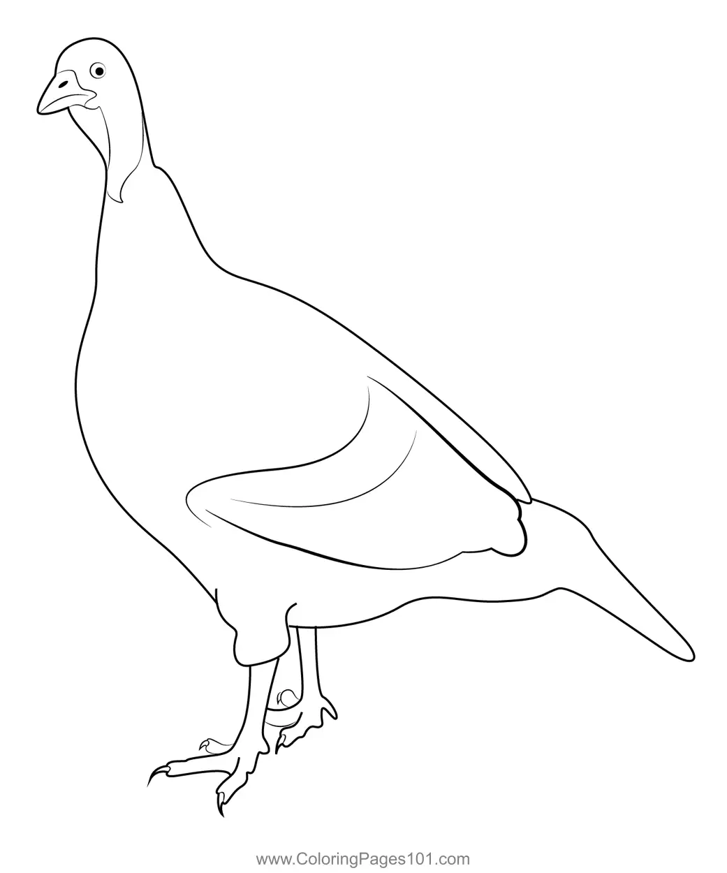 Turkeys Coloring Pages 10