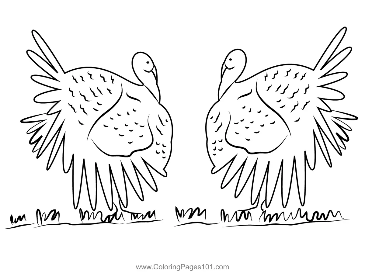 Turkeys Coloring Pages 4