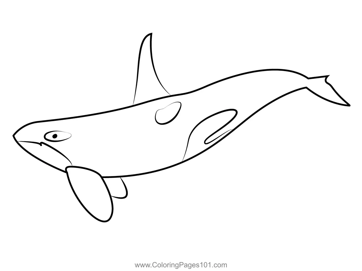 Whales Coloring Pages 5