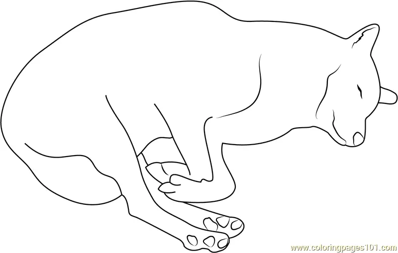 Wolf Coloring Pages 3
