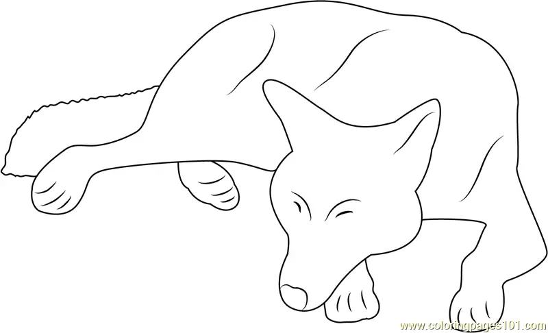 Wolf Coloring Pages 4
