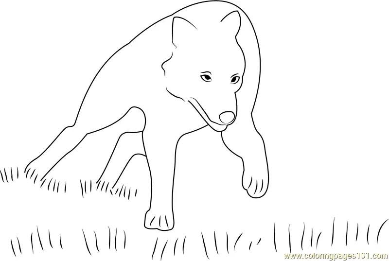 Wolf Coloring Pages 7