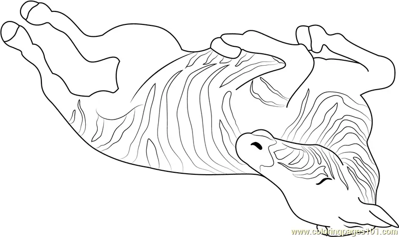 Zebra Coloring Pages 10